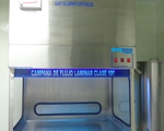 Campana de flujo laminar vetical clase 100