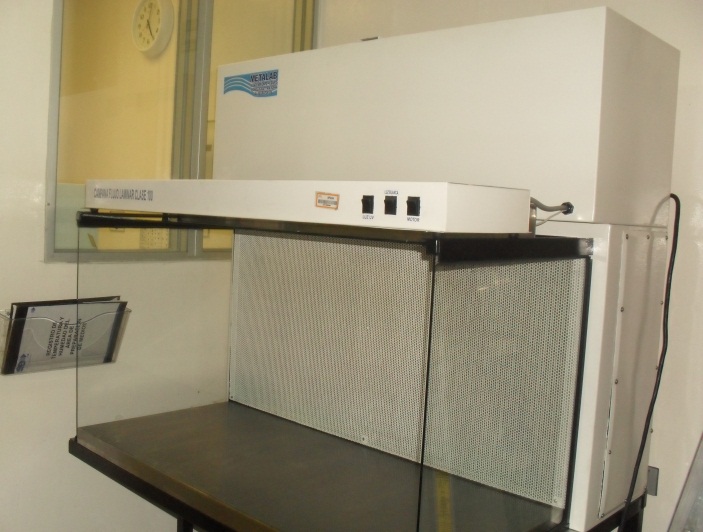 Campana de flujo laminar clase 100 Horizontal de 2 - 4 pies
